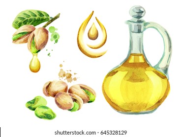 Pistachio oil set. Watercolor 