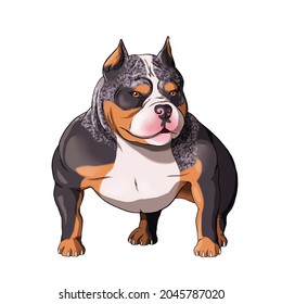 Pitbull American Bully Dog Draw Stock Illustration 2045787020 ...