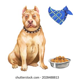 Pitbull Dog, Pitbull Terrier Watercolor Illustration With Dog, Pet, Animal, Bowl Of Food