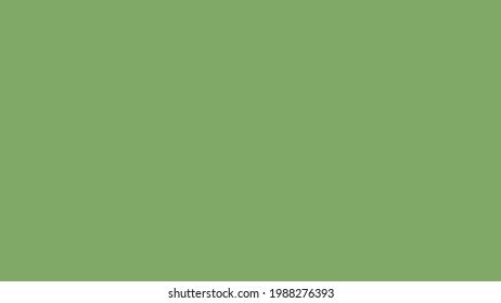 Plain Bold Green Tea Solid Color Background