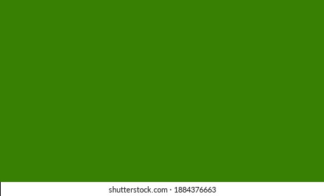 Plain Dark Grass Green Solid Color Background