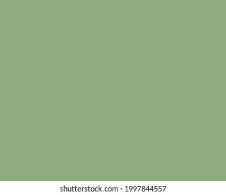 plain green Sage color   shade grey   green color  empty blank space for background  design graphic text  