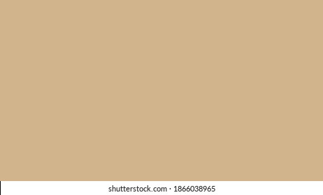 Plain Rose Tan Solid Color Background