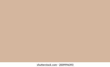 Plain Snugly Brown Solid Color Background 