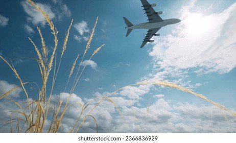 The plane flies against the background of clouds and wheat 3d render
