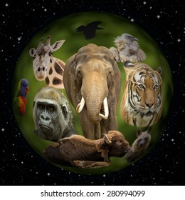 Planet Earth Animals Universe Concept Illustration Stock Illustration ...