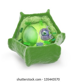 Plant Cell Cutaway Science Illustration