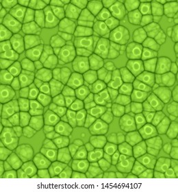 Plant cells. Green cells under a microscope. Seamless organic iluustration.