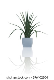 plant  iSolated reflection Collection