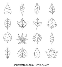 Plant Leafs Icons Set Outline Illustration Stock Illustration 597573689 ...