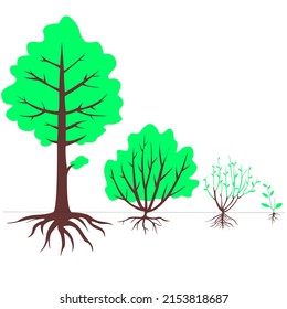 Plant Life-form: Tree, Shrub, Subshrub And Herb