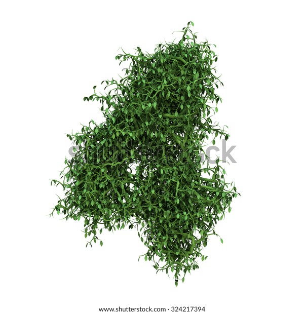 Plant Number Stock Illustration 324217394