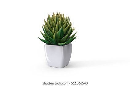 Plant In The Pot, 3d Illustration