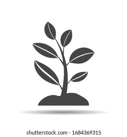 plant sprouting from ground. Symbol of ecology, environmental awareness - Powered by Shutterstock