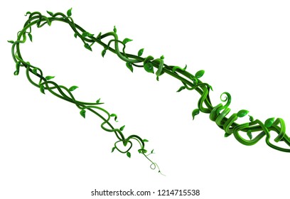 Cartoon Vines Images, Stock Photos & Vectors | Shutterstock