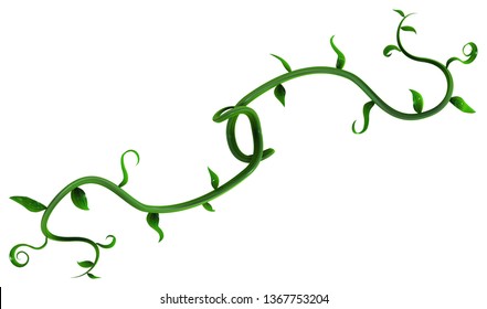 Plant Vines Green Growing Twisting Leaf Stock Illustration 1367753204 ...