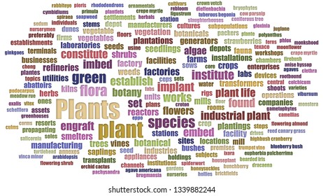 Plants Tag Cloud Aligned On White Background