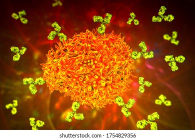 Plasma Cell Producing Antibodies, 3D Illustration. Principles Of Immunity