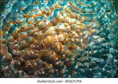 Plasmatic surface of biological tissue.