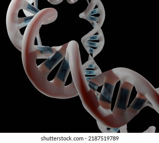 A plasmid is a small circular DNA molecule found in bacteria and some other microscopic organisms3d rendering