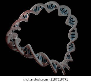 A plasmid is a small circular DNA molecule found in bacteria and some other microscopic organisms3d rendering