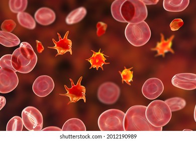 Platelets in blood smear, 3D illustration. Activated and non-activated platelets and red blood cells