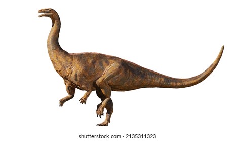 Plateosaurus, Dinosaur From The Late Triassic Period Isolated On White Background (3d Science Rendering) 