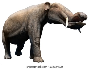 Platybelodon 3D Illustration