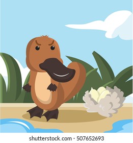 Platypus Guaring His Eggs