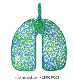 Plexus Lungs. 3d Illustration