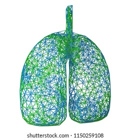 Plexus Lungs. 3d Illustration