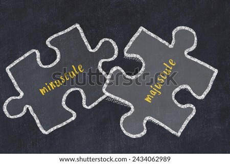 Ploblem solving. Chalk sketch of two puzzles with words minuscule and majuscule on black chalkboard