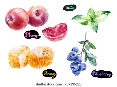 Plum, honey, blueberry, mint set watercolor hand-drawn illustration isolated on white background.