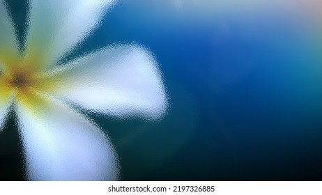 Plumeria With Frosted Glass And Light Leak Effect | Background For Writing Quote And Social Medis Post