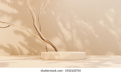 Podium  showcase pastel stucco background  Abstract geometric composition and branch   shadow the wall   3D render  Mock up for exhibitions  presentation   branding products  health care 