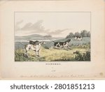Pointers (1846) by N Currier. Vintage dog illustration, animal artwork.