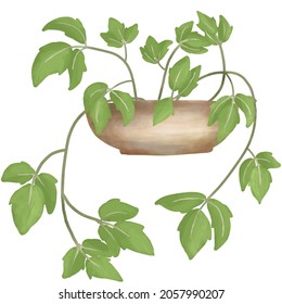 Poison Ivy Twigs Growing On A  Flat Clay Pot Isolated On A White Background, Digital Painting