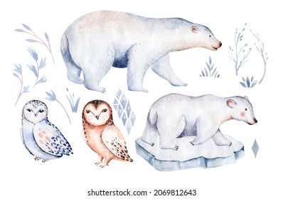 polar animals watercolor collections. snowy owl. reindeer. polar bear. fox. penguin. walrus seal hare whale
