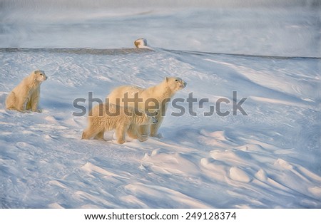 Similar – Schlittenhunde Winter