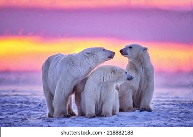 Polar Bear Family In Arctic Sunset