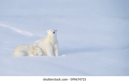 Polar Bear With Her Cub After Snowfall On Canadian Arctic Tundra