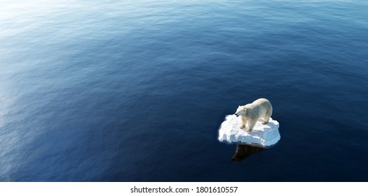 Белый медведь на льдине. Тающий айсберг и глобальное потепление. Изменение климата. 3D-иллюстрация