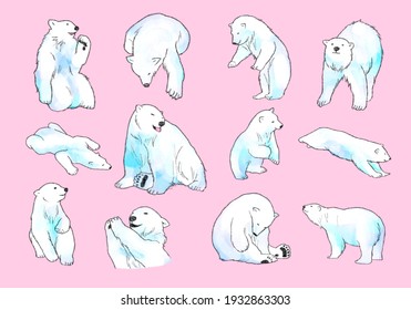 polar bear pose collection cute