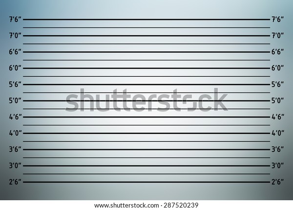 Police Lineup Mugshot Background Inch Unit Stock Illustration 287520239 ...