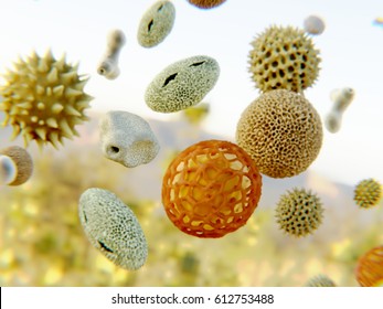 Pollen grains. 3D rendering
Pollen grains of 8 different plant species being transported by the wind.
