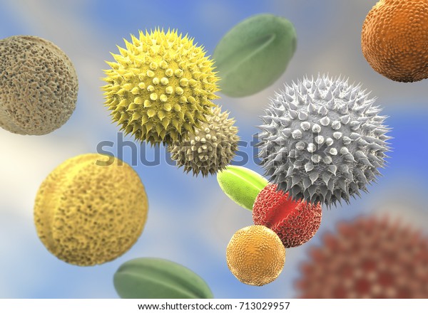 Pollen grains\
from different plants, 3D illustration. They are factors causing\
hay fever and allergic\
rhinitis