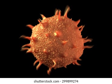 Pollen Grains Images Stock Photos Vectors Shutterstock