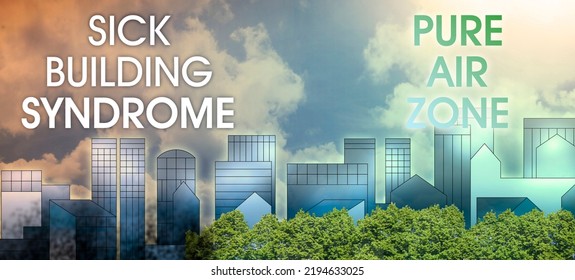 Polluted City Towards A Pure Air Zone With Trees - Sick Building Syndrome, Indoor And Outdoor Air Quality And Pollutants.