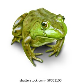 405 Frog cry Images, Stock Photos & Vectors | Shutterstock