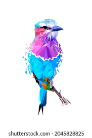 Polygonal With Colorful Bird Wpap Style. 